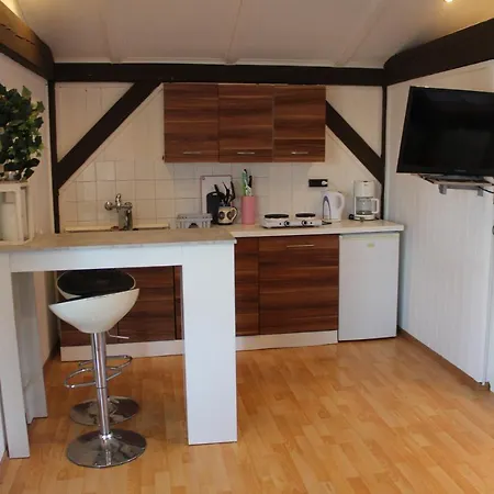 Holiday home Elena Sarmellek
